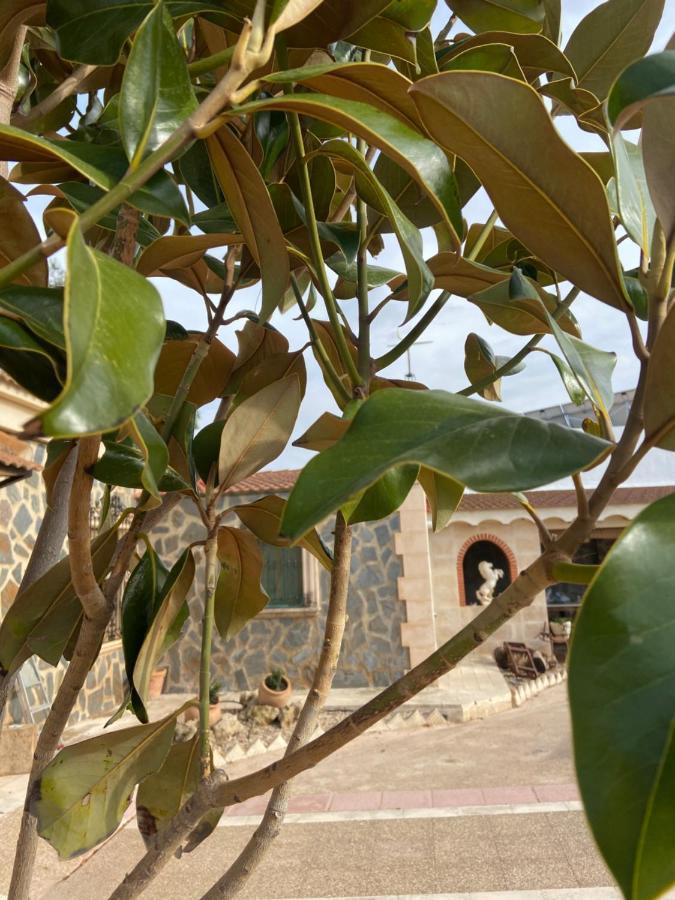 Esse Natura Alojamientos & Lifestyle Pozohondo Eksteriør bilde